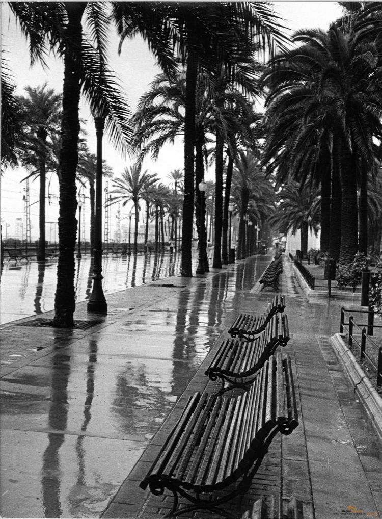 La Rambla