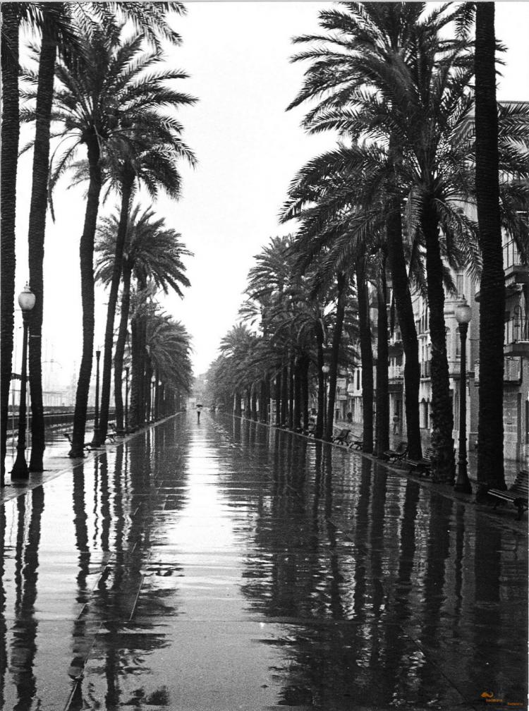 La Rambla