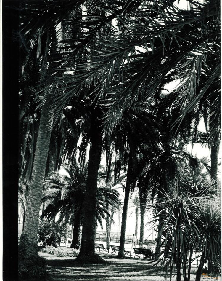 La Rambla