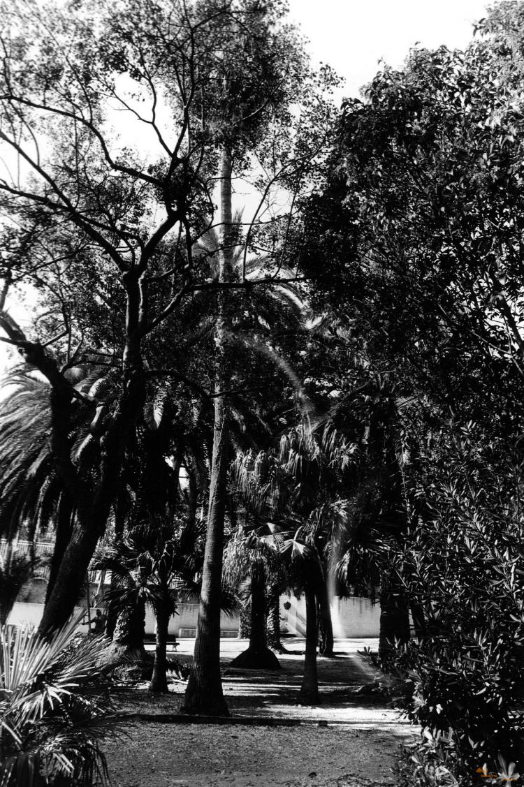 Parc de Can Solei 