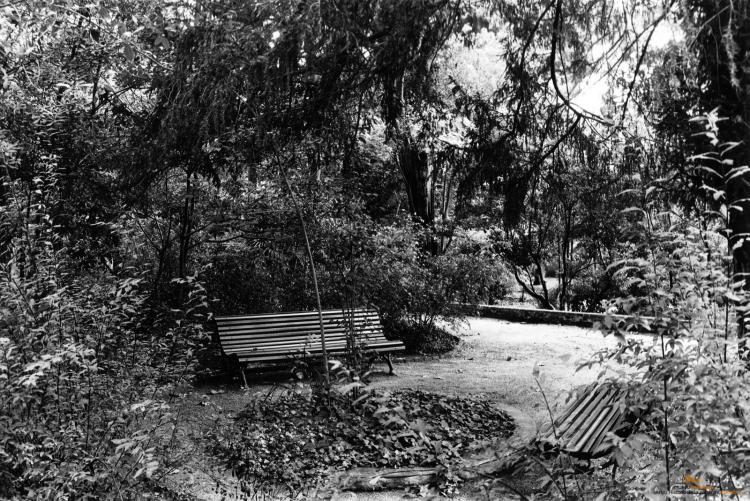 Parc de Can Solei 