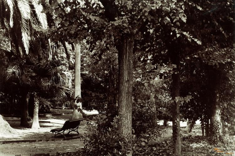 Parc de Can Solei 
