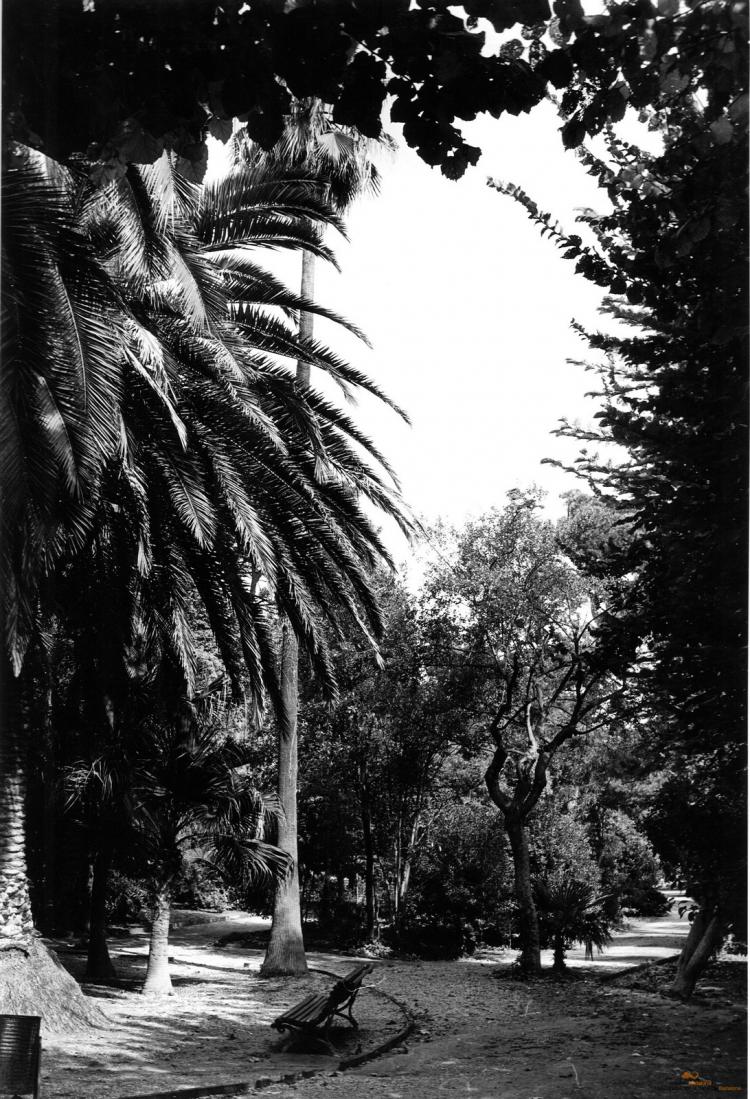 Parc de Can Solei 