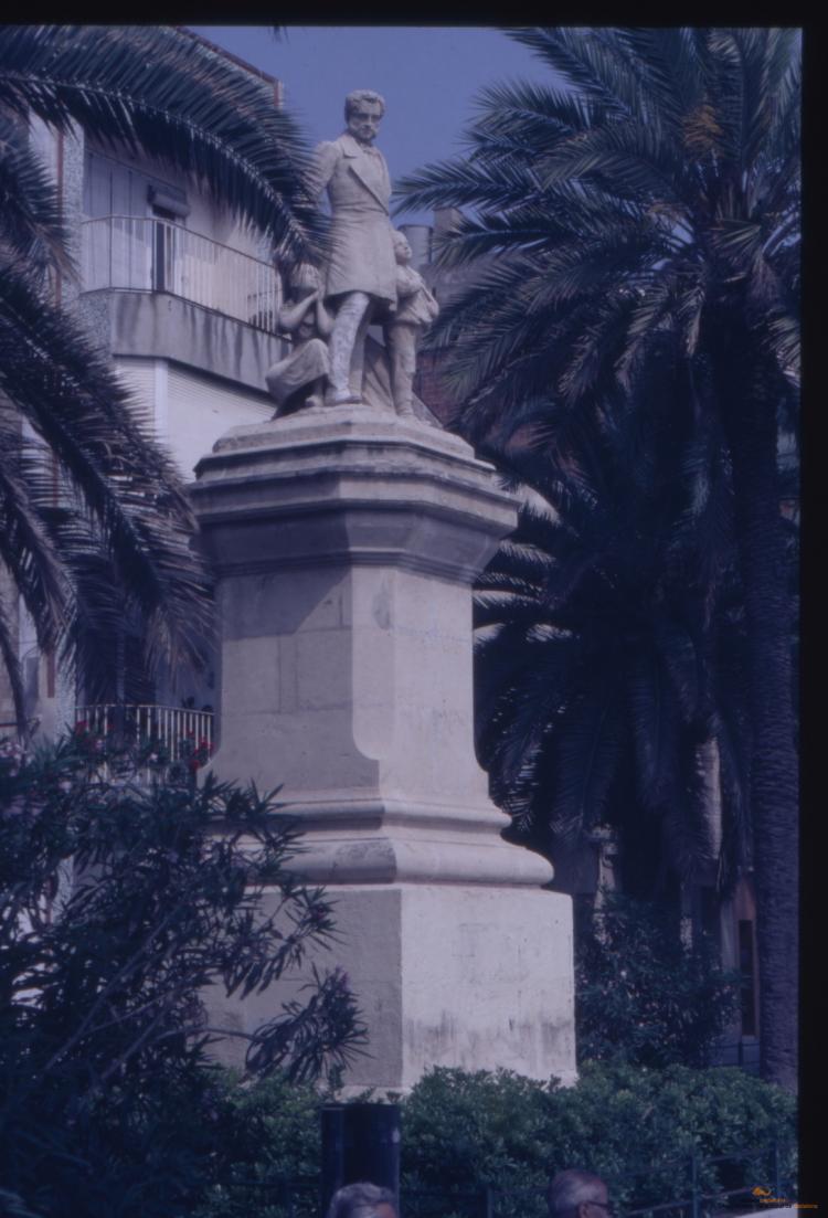 Arbres a la ciutat