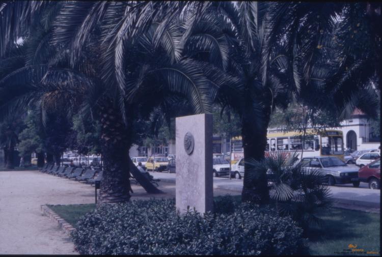 Arbres a la ciutat