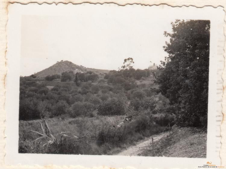 Arqueologia. Pomar: Turó d'en Boscá