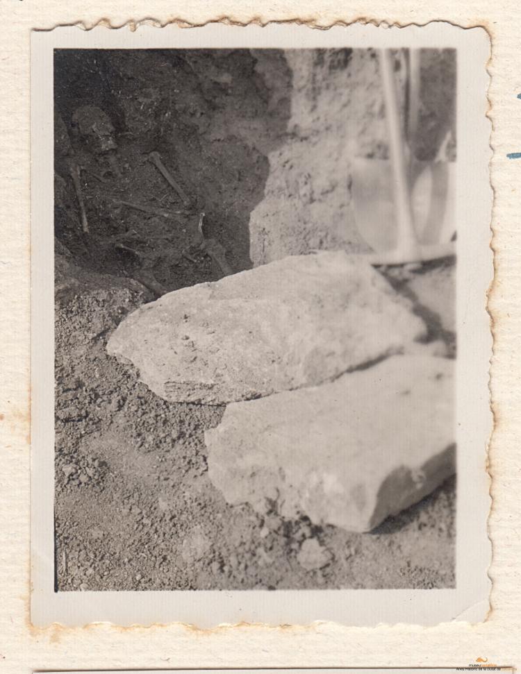 Arqueologia. Pomar. Tombes ibèriques