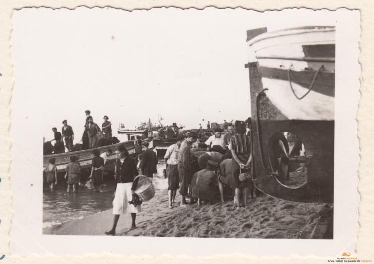 La pesca de la sardina