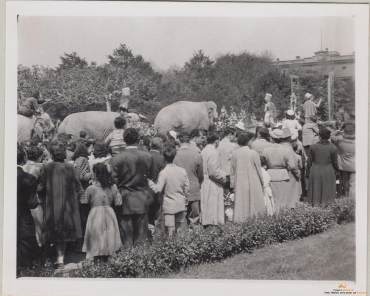 Vistes vàries de l'arribada d'un elefant a Barcelona (només viurà una setmana)