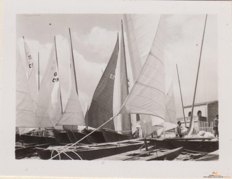 Festa Major. Patins de vela: descripció i Regata