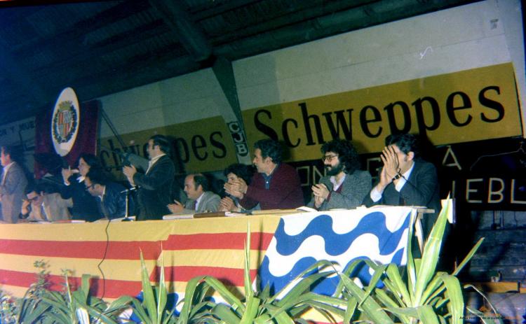 Ajuntament Ple al paveló de la Plana