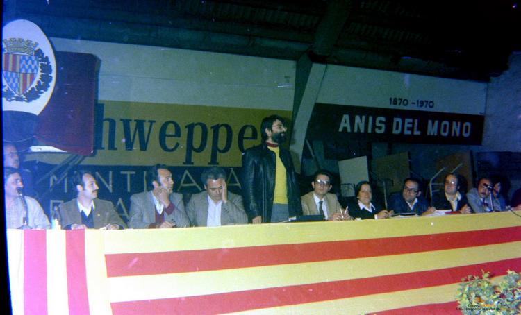Ajuntament Ple al paveló de la Plana
