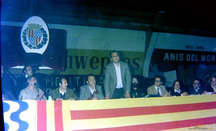 Ajuntament Ple al paveló de la Plana