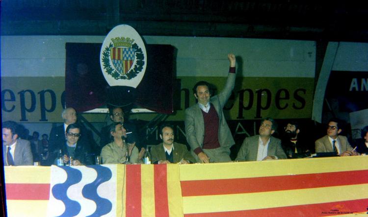 Ajuntament Ple al paveló de la Plana