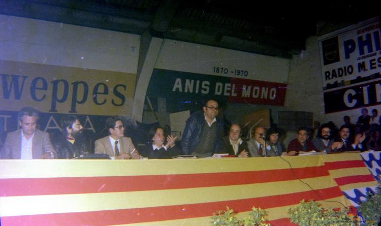 Ajuntament Ple al paveló de la Plana