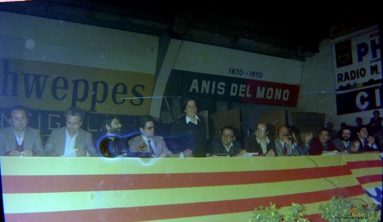 Ajuntament Ple al paveló de la Plana