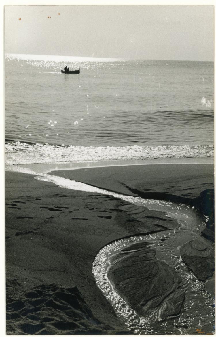 Platja. Clavagueres. Col·lector