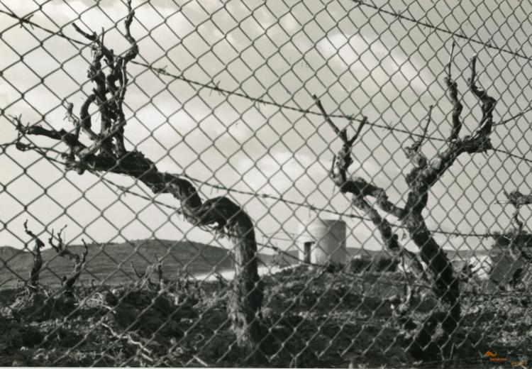 Topografia. Barris. Pomar de Dalt