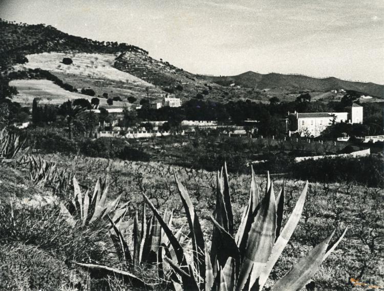 Topografia. Barris. Pomar de Dalt