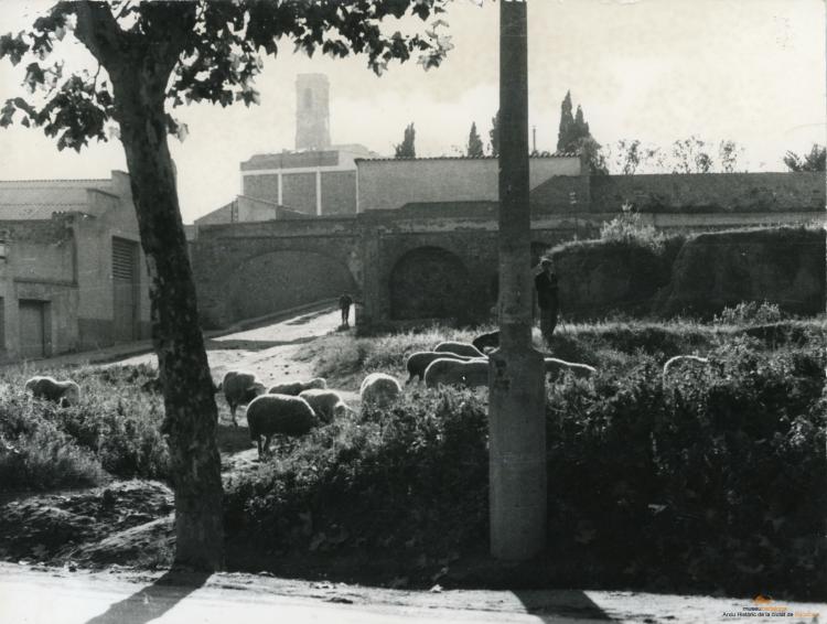 Topografia. Barris. Dalt de la Vila