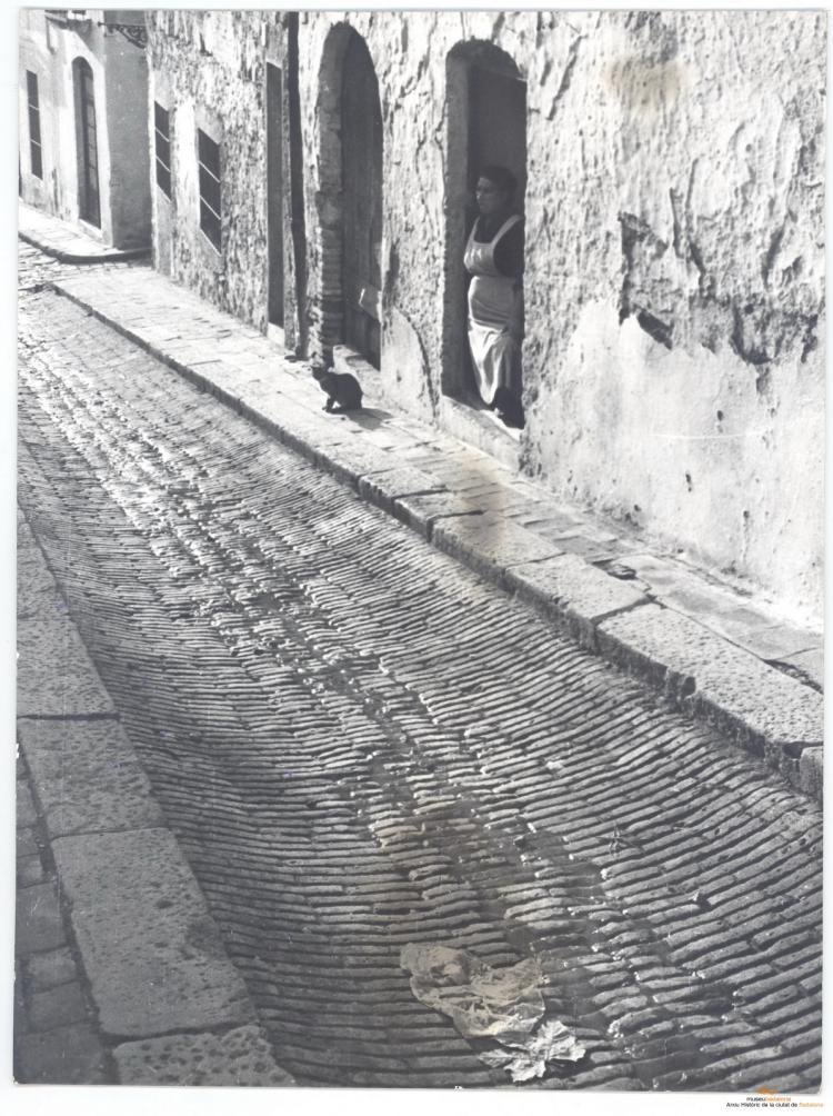 Topografia. Carrers. Carrer de la Costa