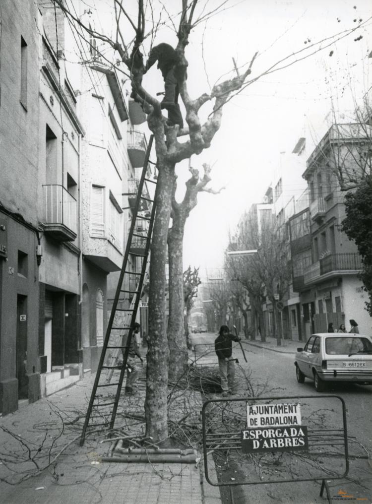 Topografia. Carrers. Carrer d'en Prim