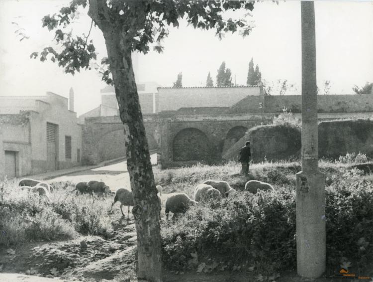 Topografia. Barris. Dalt de la Vila