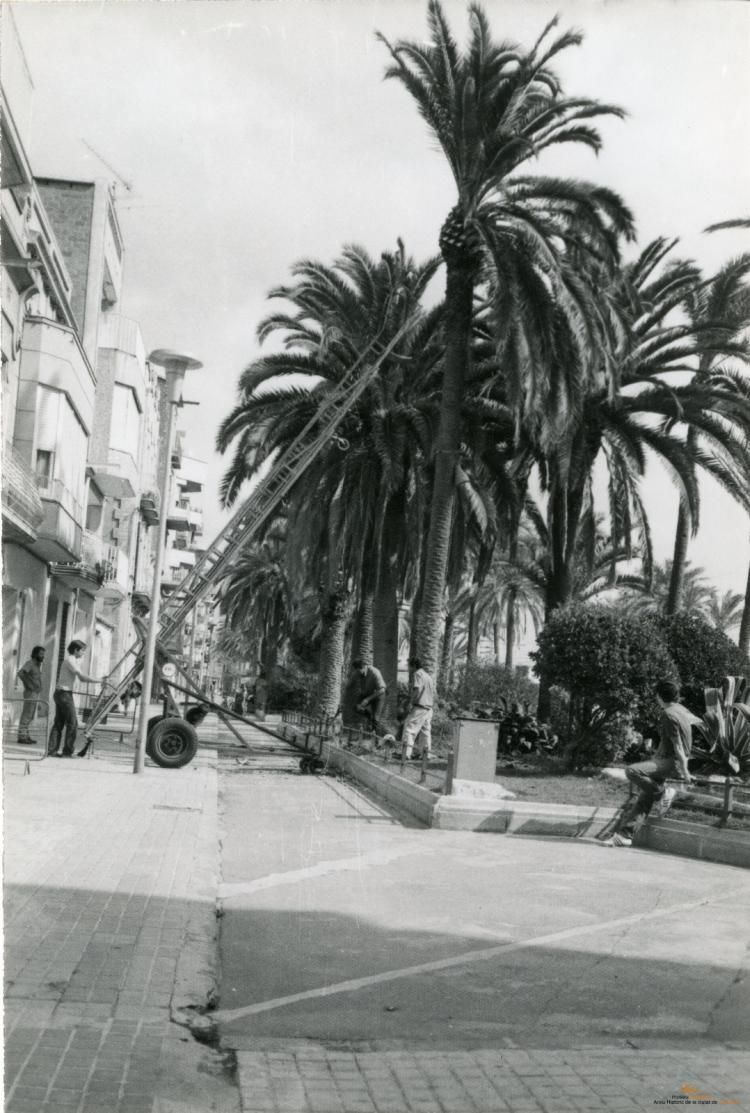 Topografia. Carrers. Rambla