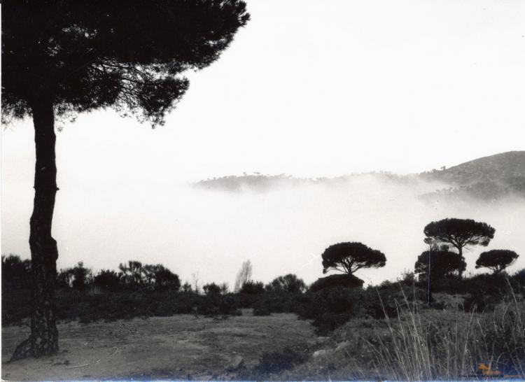 Topografia. Rodalies. 