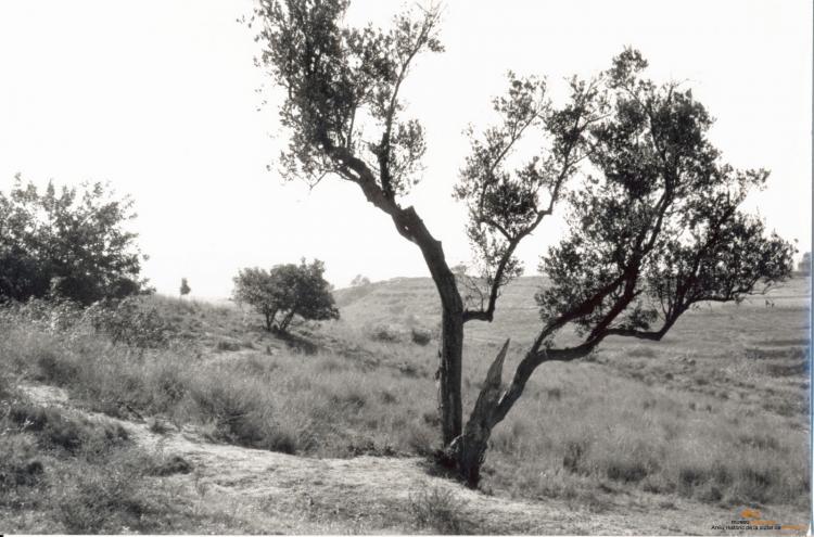 Topografia. Vall de Sant Jeroni