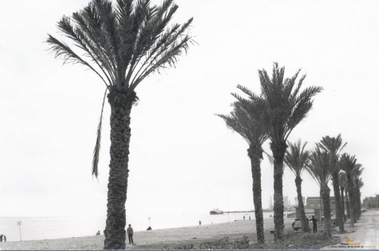 Platja 