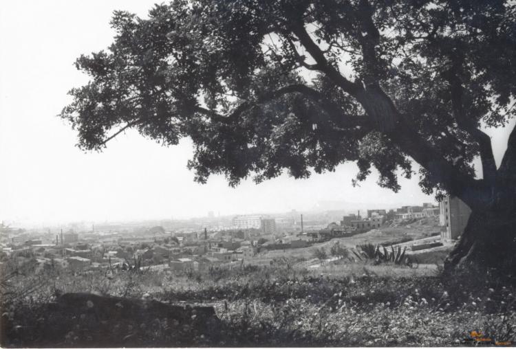 Topografia. Vista general