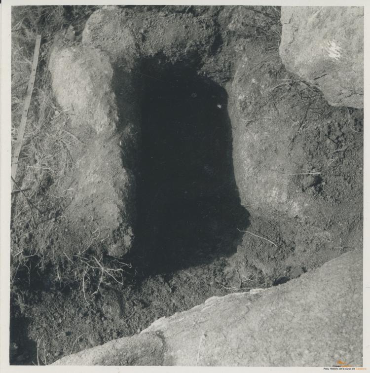 Arqueologia. Dolmen Coma d'Oms