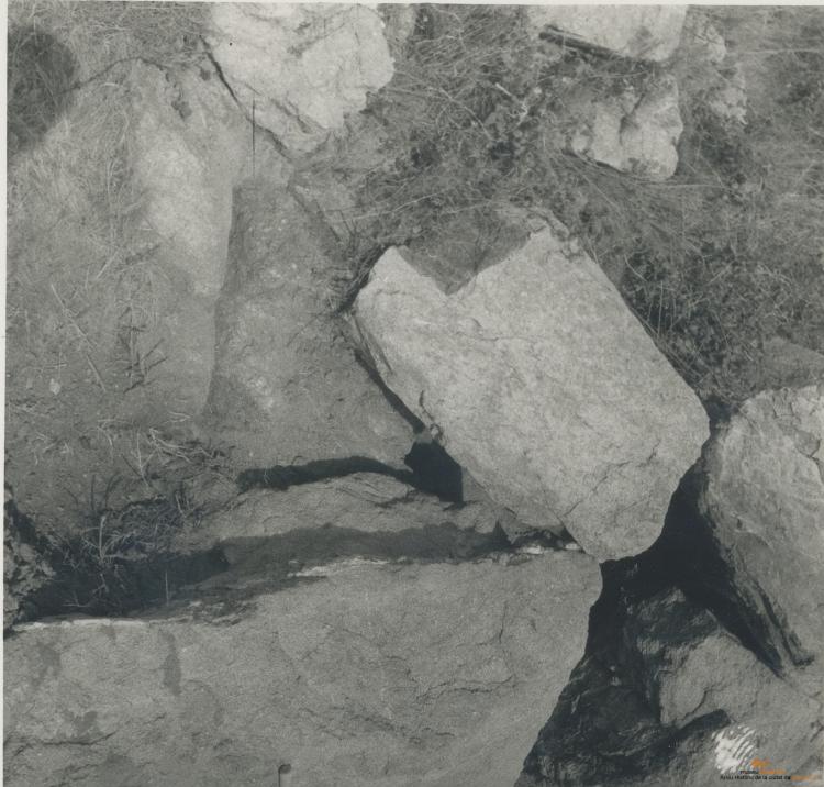 Arqueologia. Dolmen Coma d'Oms