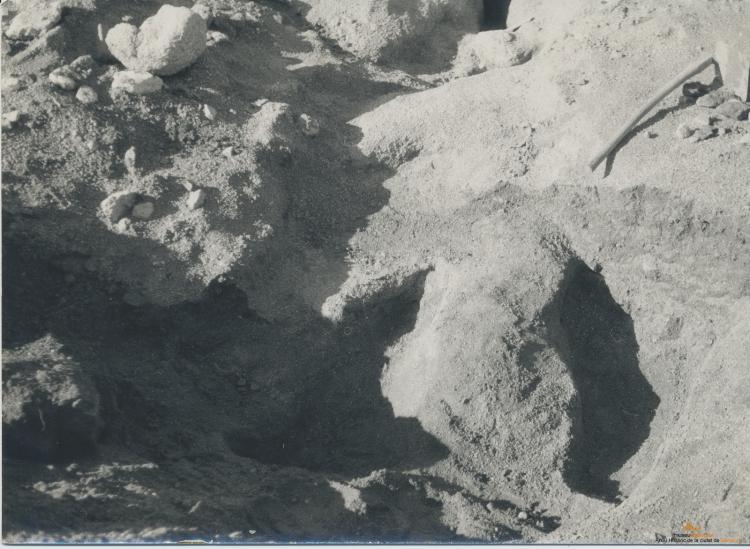 Arqueologia. Zona Sant Jeroni de la Murtra