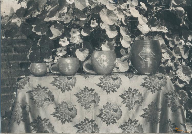 Botànica. Flors