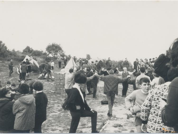 Festa de l'Arbre 