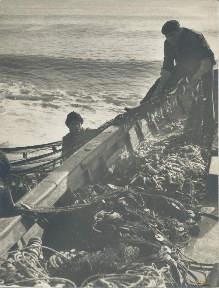 Platja. Barques. Pesca