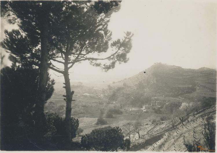 Turó d'en Bosca