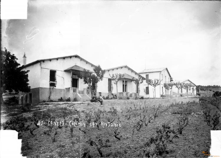 Colònia de Sant Antoni