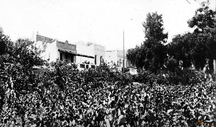 Colònia Sant Jaume. Casetes