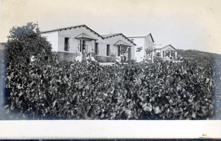 Colònia Sant Antoni