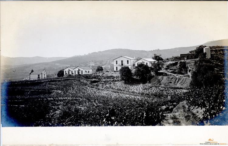 Colònia Sant Antoni