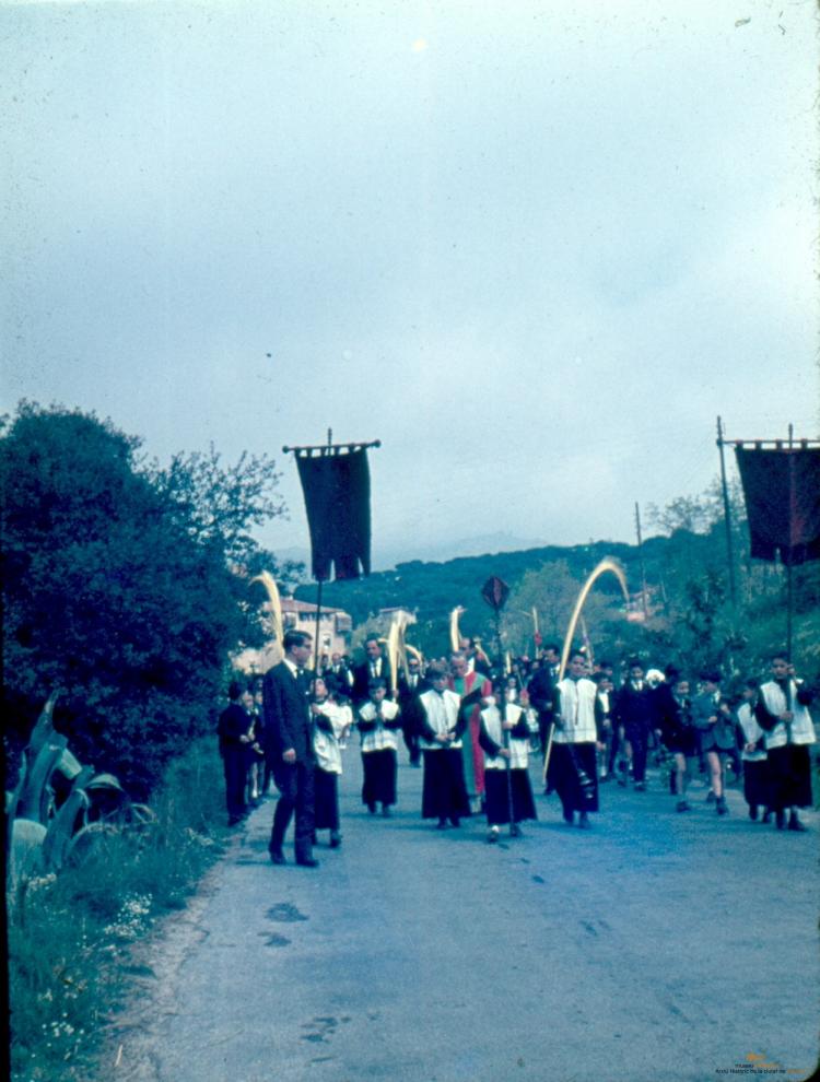 Rams. Processó