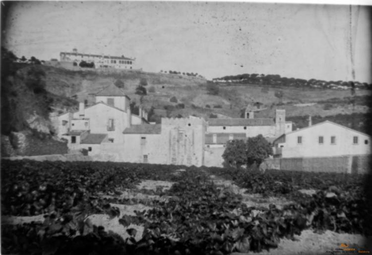 Cartoixa de Montalegre i Conreria. Vista general