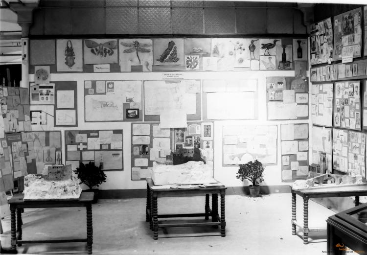 Mostra treballs alumnes Escola Catalana