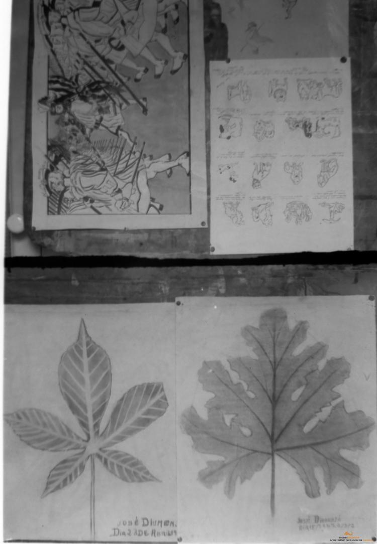 Mostra treballs alumnes Escola Catalana