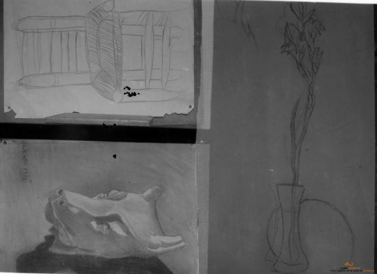 Mostra treballs alumnes Escola Catalana