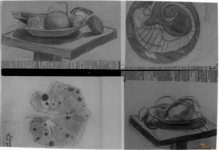 Mostra treballs alumnes Escola Catalana