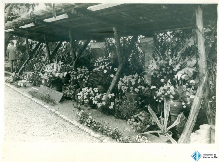 Exposició de flor i planta en una fira al Pla de Can Monjo